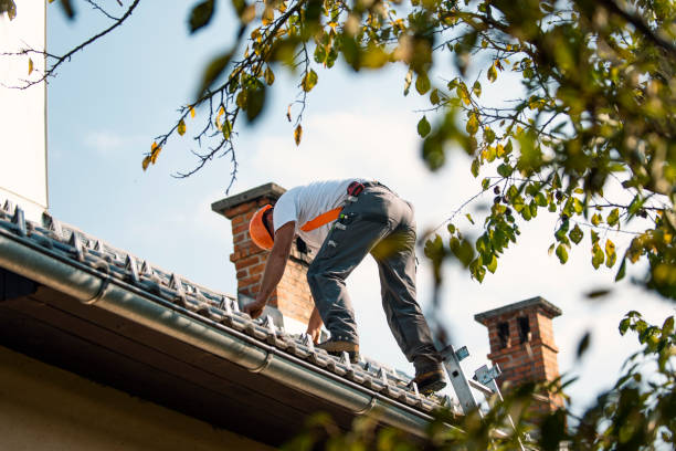 Roof Gutter Cleaning in Stockton, IL
