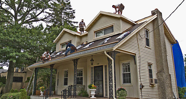 Best Roof Maintenance Services  in Stockton, IL