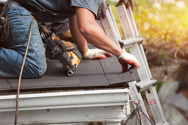 Best Roof Gutter Cleaning  in Stockton, IL